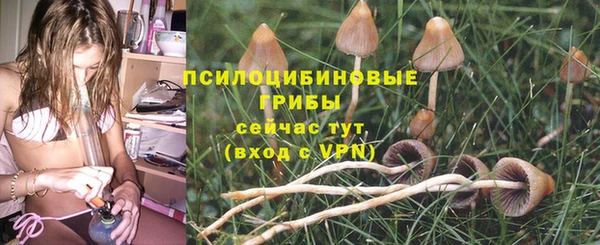 прущие крисы Саяногорск